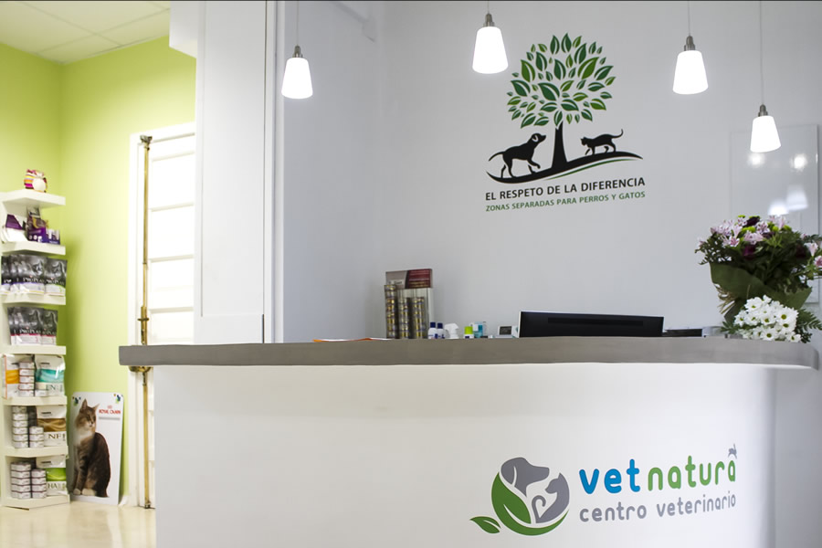 marketing veterinario marketing veterinario