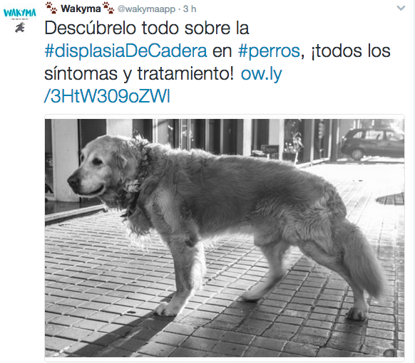 Acorta tus enlaces Acorta tus enlaces