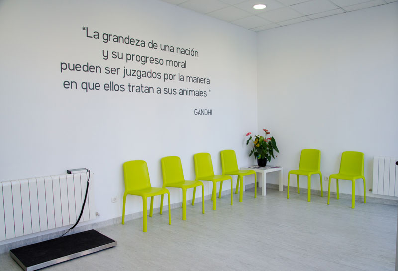 La imagen corporativa de la clínica veterinaria Buena imagen en tu clínica veterinaria