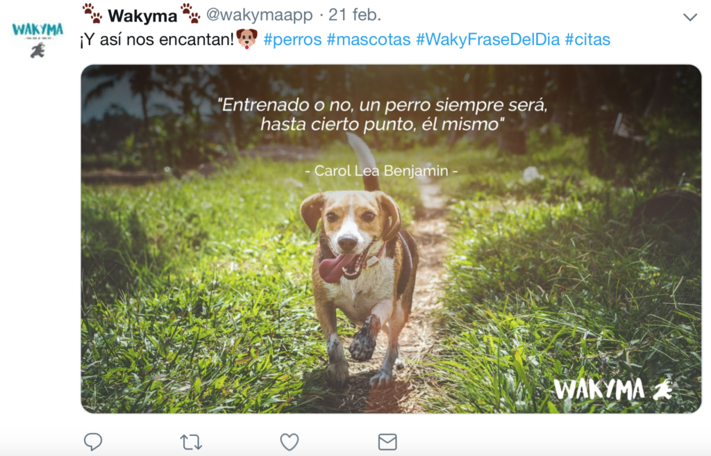 Publica contenido NO relacionado con tu página Consejos para usar las redes sociales de tu clínica veterinaria