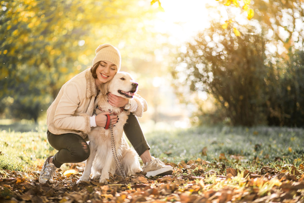 Por qué es importante la identidad corporativa para nuestro Centro Veterinario La identidad corporativa de nuestra clínica veterinaria