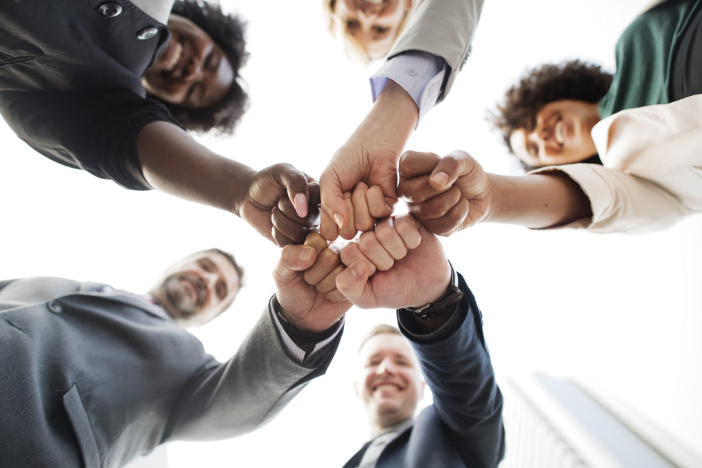Beneficios del trabajo en equipo para nuestra clínica veterinaria Trabajando en equipo en nuestra Clínica Veterinaria