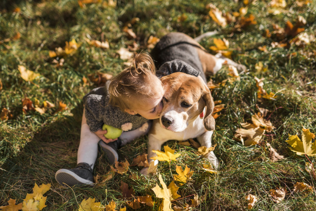 5 consejos para atraer más clientes a nuestra clínica veterinaria 5 consejos para atraer más clientes a nuestra clínica veterinaria