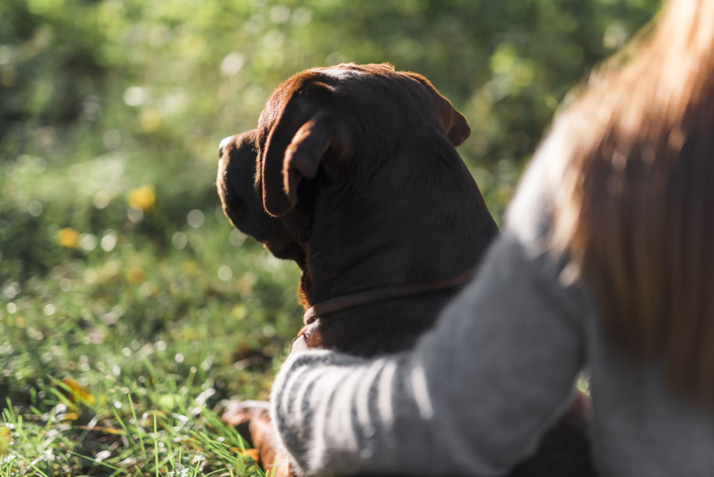 Beneficios de la fidelización de los clientes en una clínica veterinaria La fidelización en los clientes en una clínica veterinaria