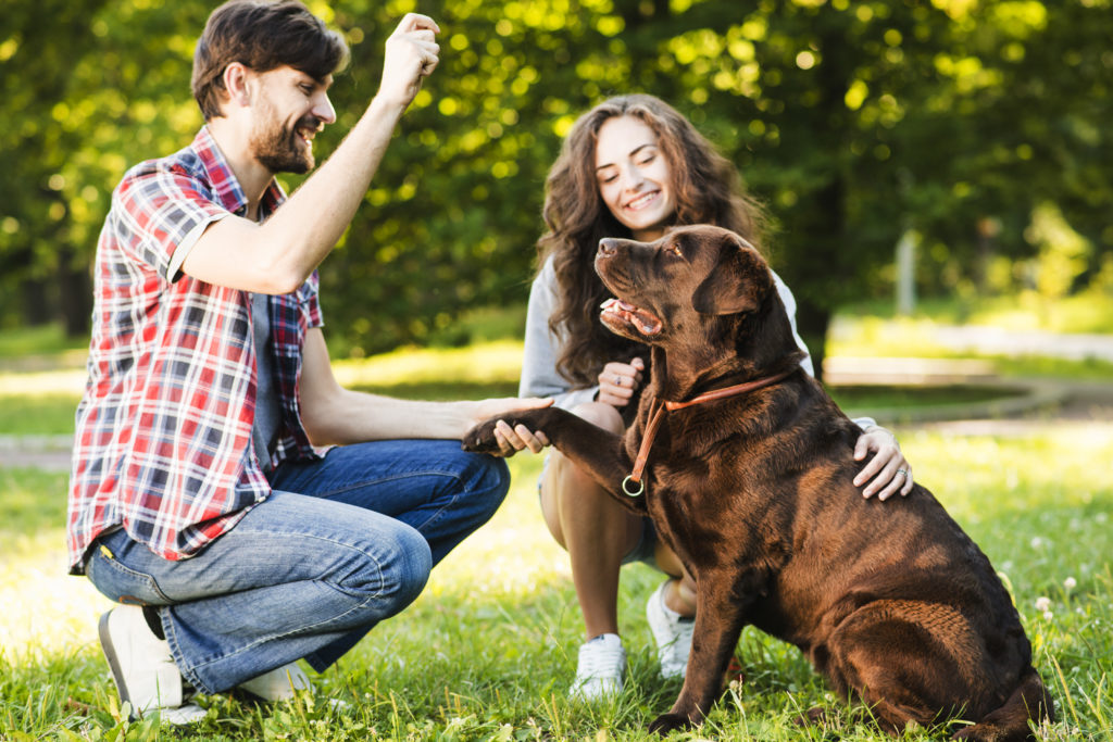 Construyendo el público objetivo de mi clínica veterinaria El público objetivo de mi clínica veterinaria
