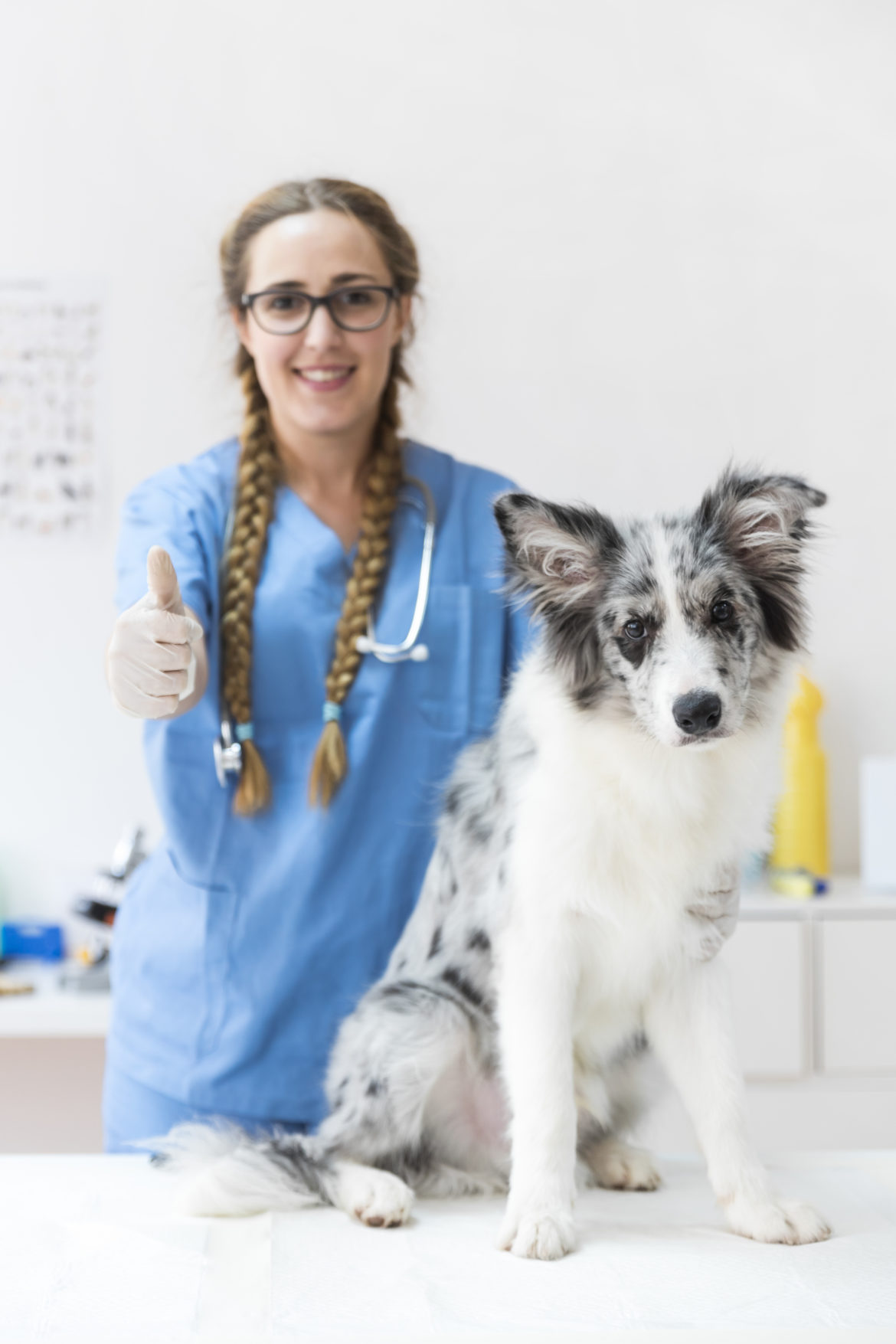 La importancia de capacitar a los empleados de tu veterinaria