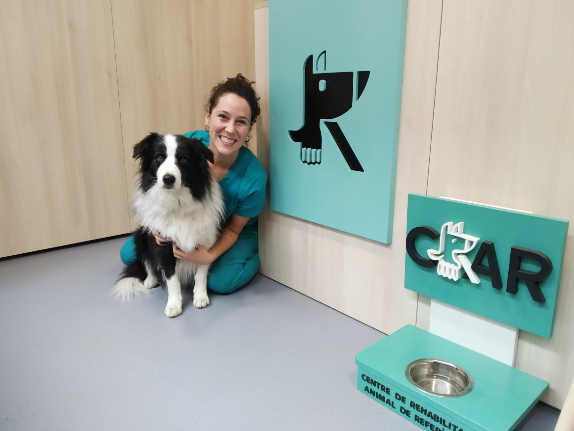 CRAR BCN: Centro de Rehabilitación Animal de Referencia