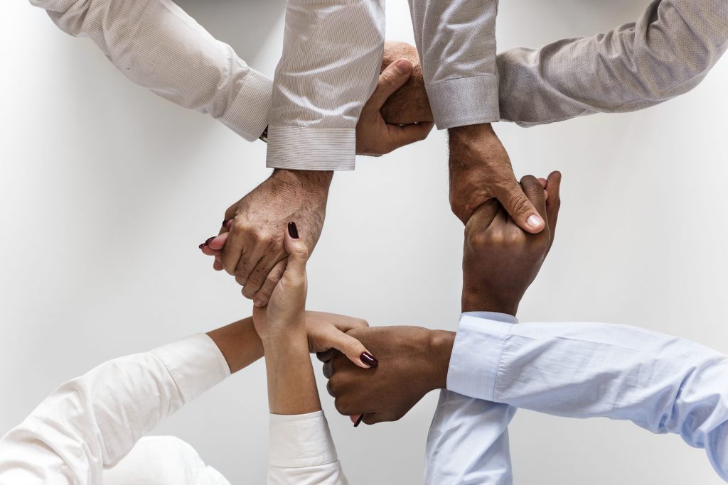 habla sobre tu equipo en la página acerca de en tu web veterinaria habla sobre tu equipo en la página acerca de en tu web veterinaria