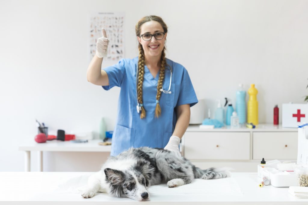 la importancia de conseguir reseñas para la ficha de Google de tu veterinaria la importancia de conseguir reseñas para la ficha de Google de tu veterinaria