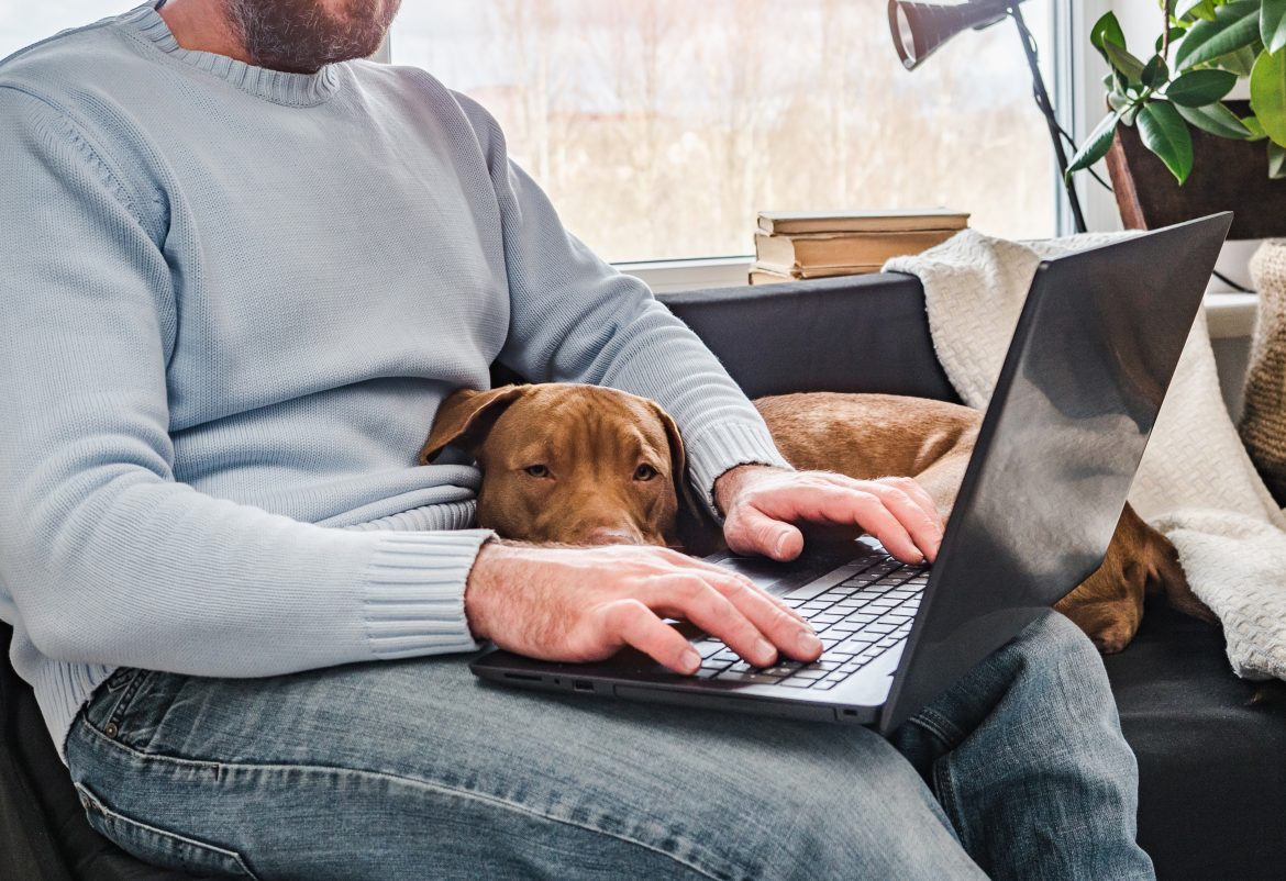 Ventajas de la reserva de citas online en tu veterinaria