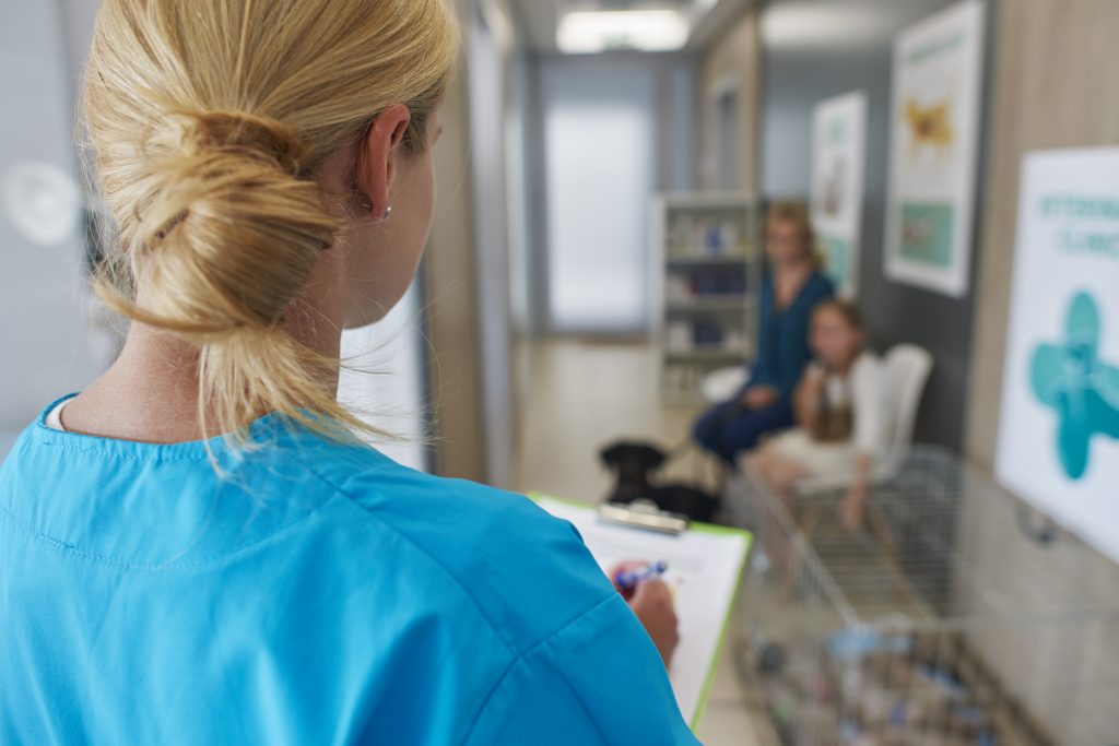 el contenido personalizado en las redes y web de tu veterinaria da confianza el contenido personalizado en las redes y web de tu veterinaria da confianza