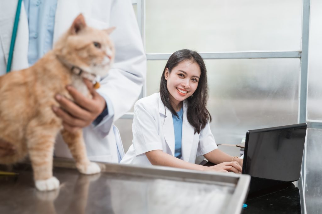 la página de preguntas frecuentes de tu web veterinaria es una forma de atención al cliente la página de preguntas frecuentes de tu web veterinaria es una forma de atención al cliente