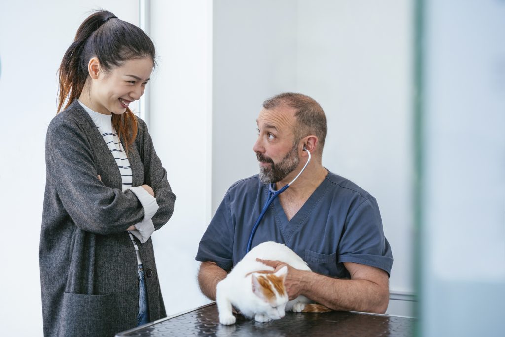 las fotos ayudan a mejorar el posicionamiento local en Google de tu centro veterinario las fotos ayudan a mejorar el posicionamiento local en Google de tu centro veterinario