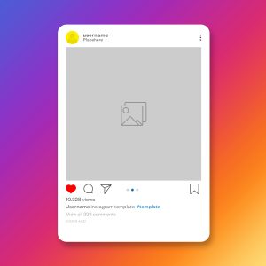 consejos para conseguir seguidores en Instagram para tu veterinaria