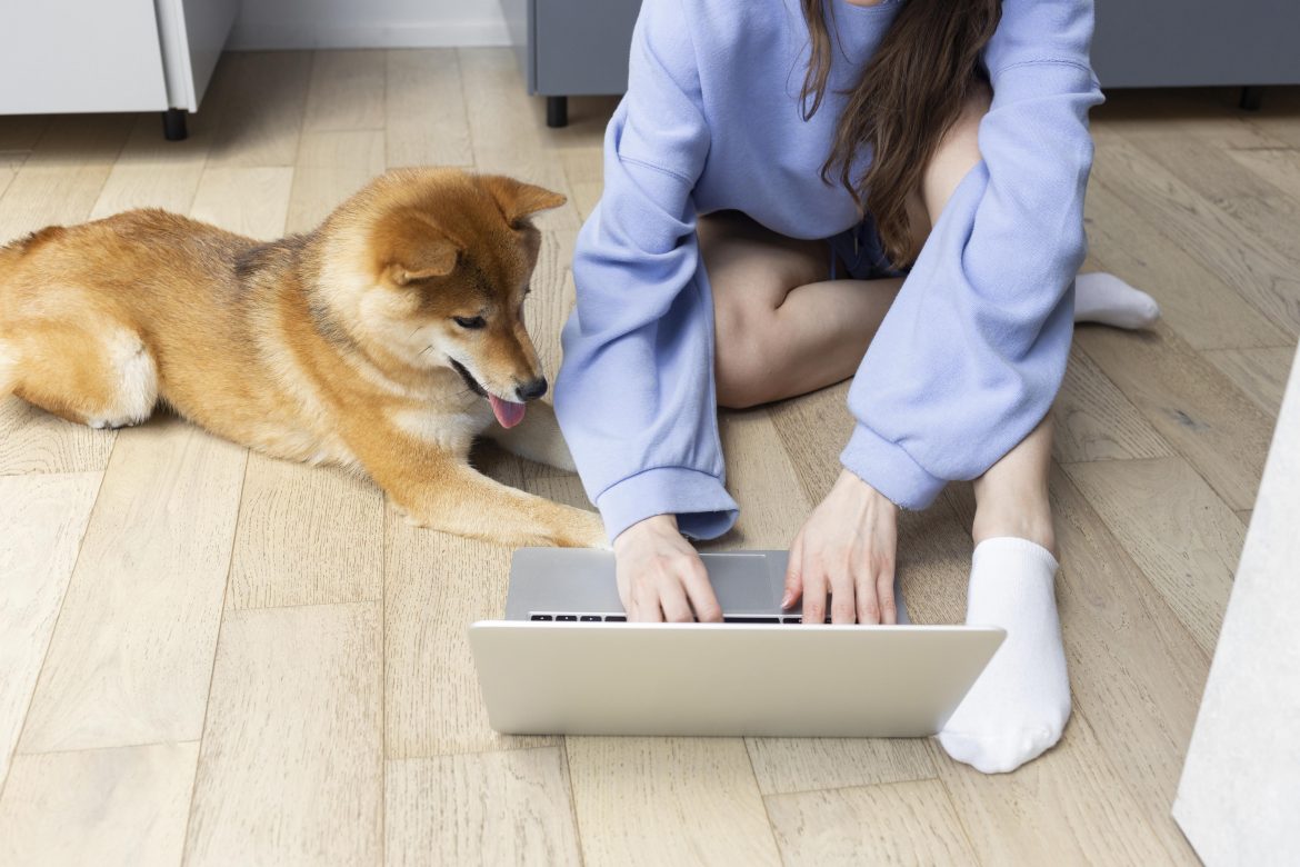 cuatro páginas importantes para el sitio web veterinario