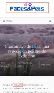 plagio-de-Wakyma