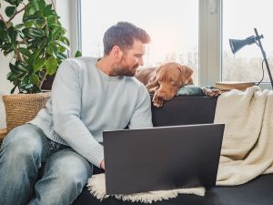 Recursos para mejorar la velocidad de carga de la web veterinaria