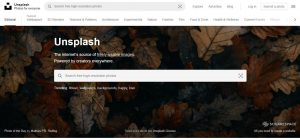 Unsplash es uno de los bancos de imágenes gratuitos a usar para tu veterinaria