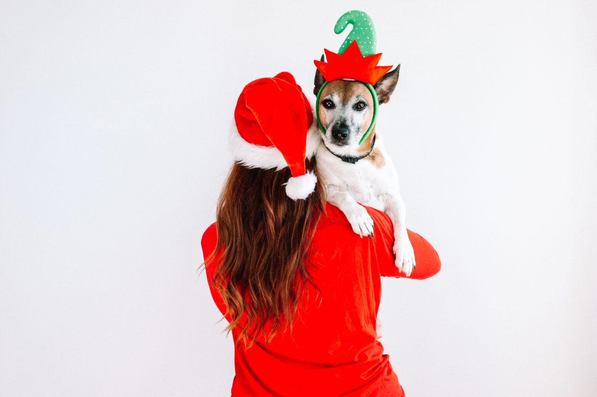 Consejos para tu centro veterinario de cara a Navidad