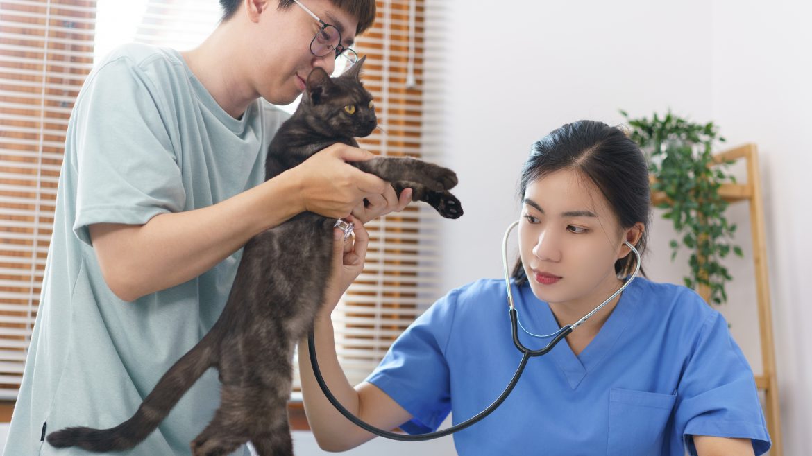 Testimonios de clientes en veterinaria