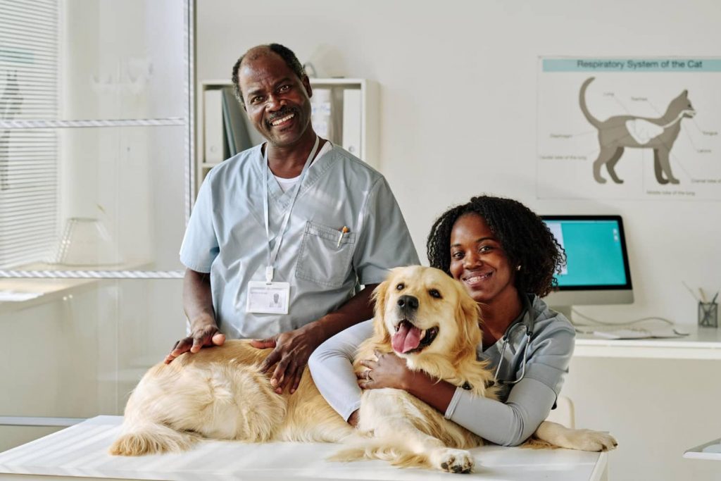 Cómo puede ayudar el employee advocacy en veterinaria