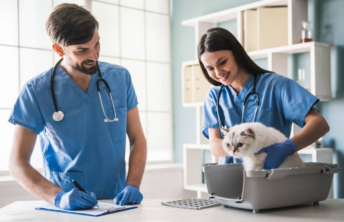 Employee advocacy en veterinaria: cómo puede ayudar en tus ventas