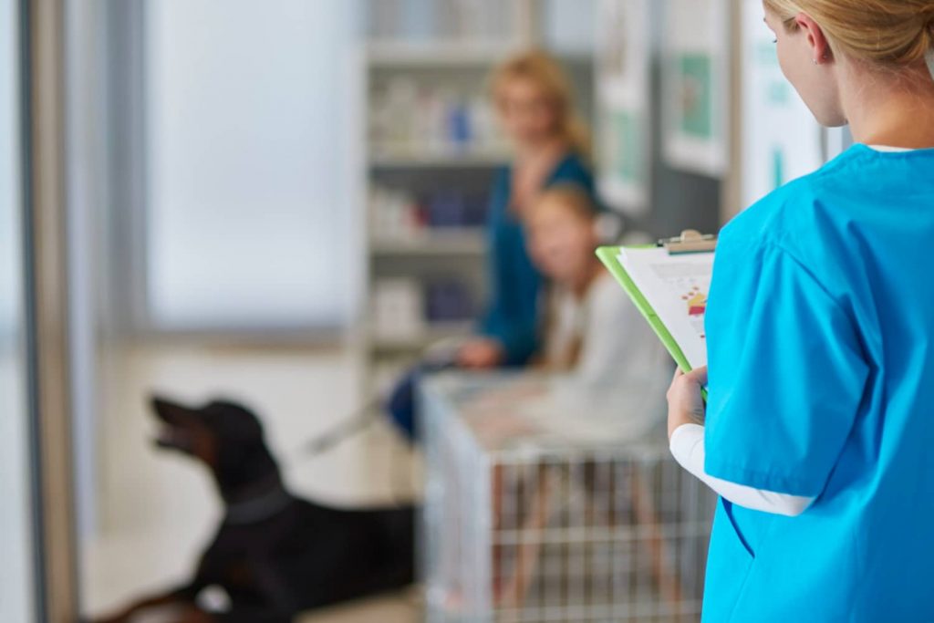 Qué es el servicio al cliente veterinario