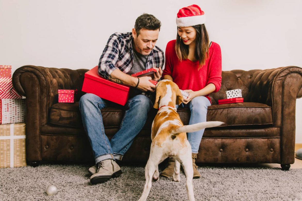 Consejos para los clientes de tu veterinaria en Navidad