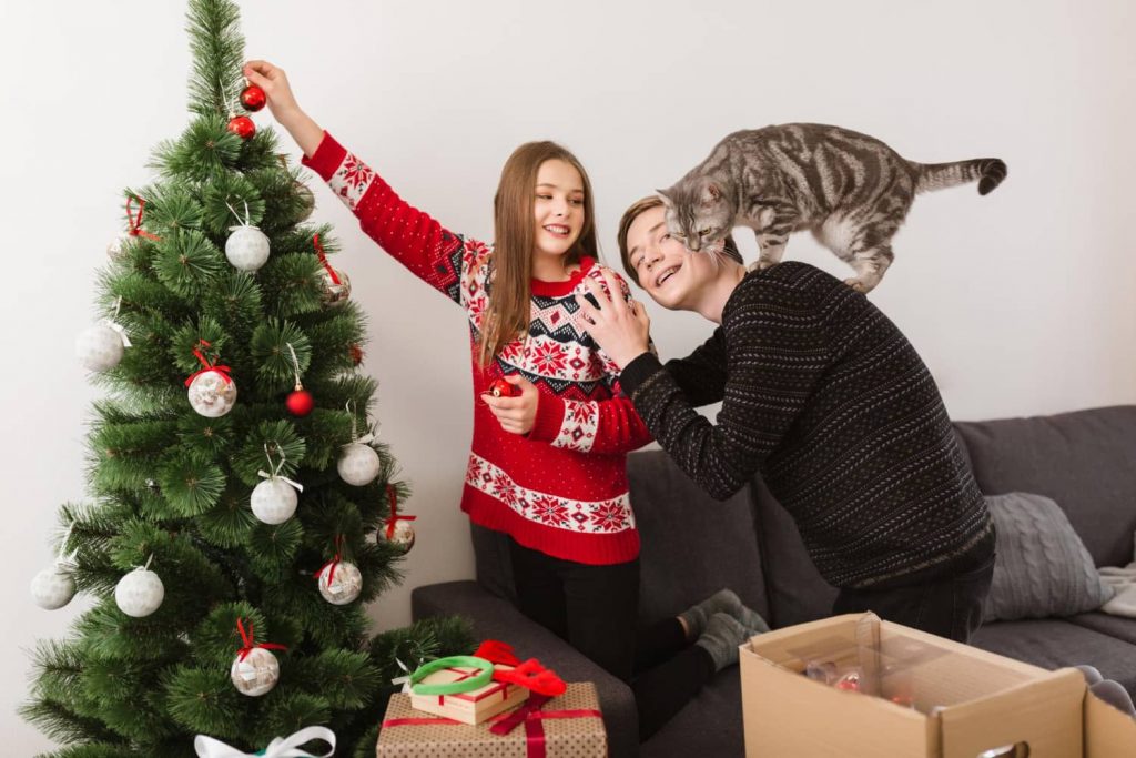 Recomendaciones para los clientes de tu veterinaria en Navidad Recomendaciones para los clientes de tu veterinaria en Navidad