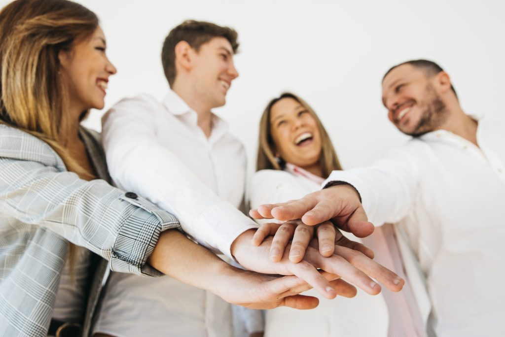 ¿Qué es la gestión del conocimiento en la empresa veterinaria?