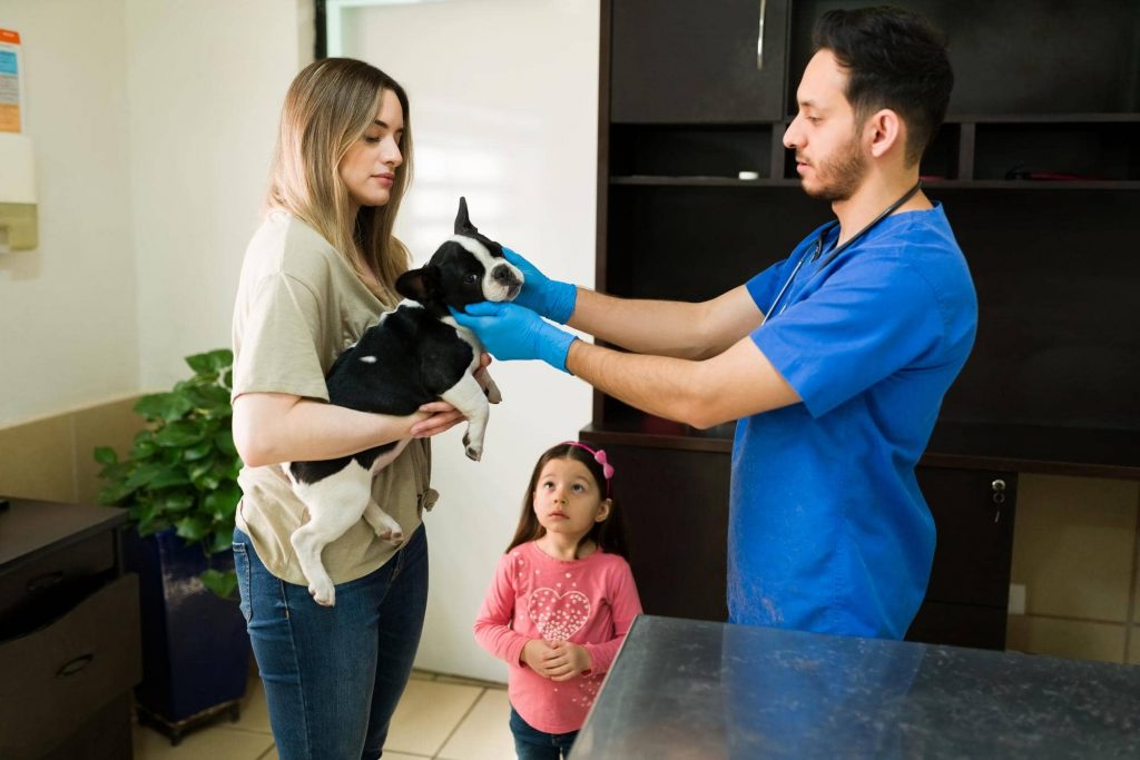 Cómo extender el ciclo de vida de los clientes de tu veterinaria: 10 estrategias fundamentales Cómo extender el ciclo de vida de los clientes de tu veterinaria: 10 estrategias fundamentales