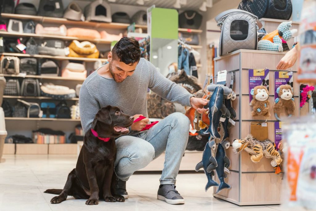 Pasos para optimizar la exhibición de productos en tu clínica veterinaria