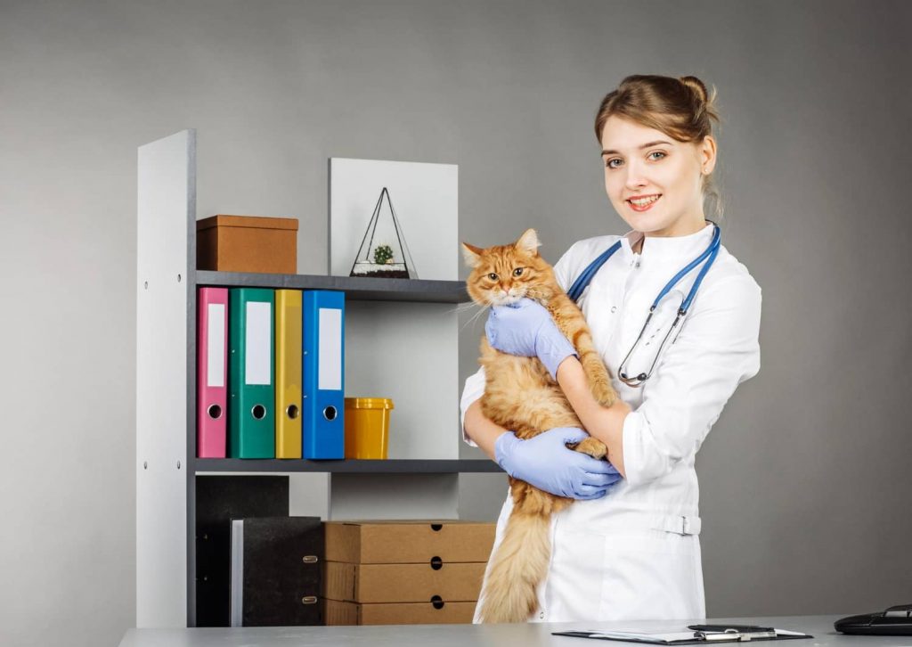 Claves para lograr una gestión eficiente en las clínicas veterinarias Claves para lograr una gestión eficiente en las clínicas veterinarias