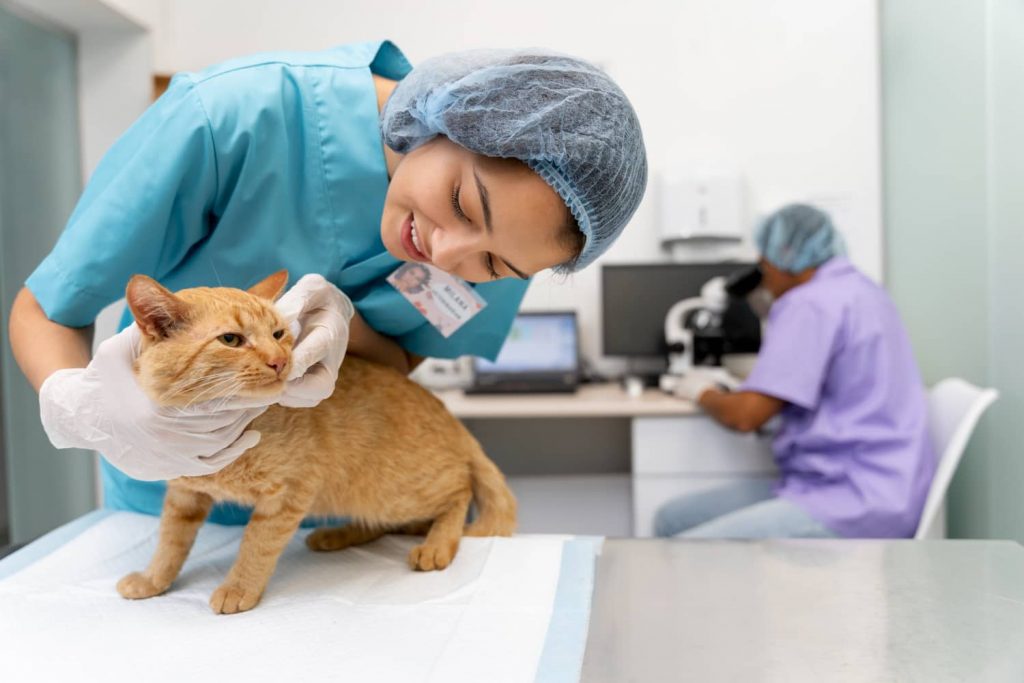 Factores que influyen en la gestión del personal de la clínica veterinaria Factores que influyen en la gestión del personal de la clínica veterinaria