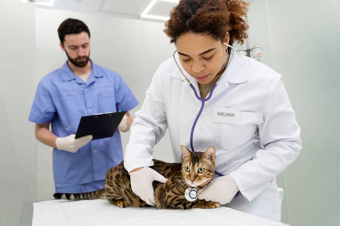 Gestión eficiente en clínicas veterinarias