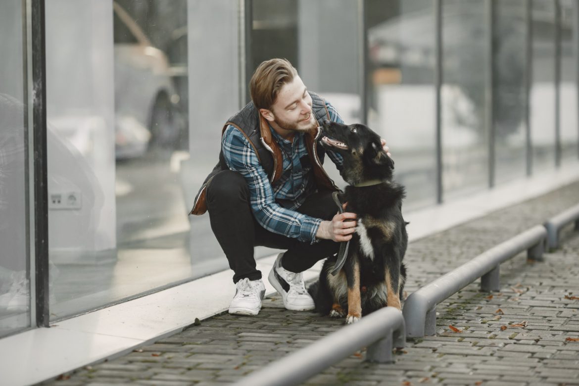 Publicidad emocional en veterinaria