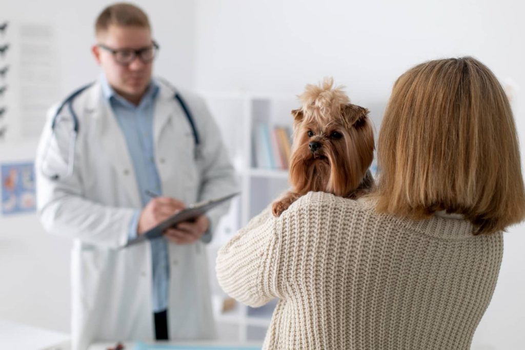 Los componentes de la productividad en la clínica veterinaria Los componentes de la productividad en la clínica veterinaria
