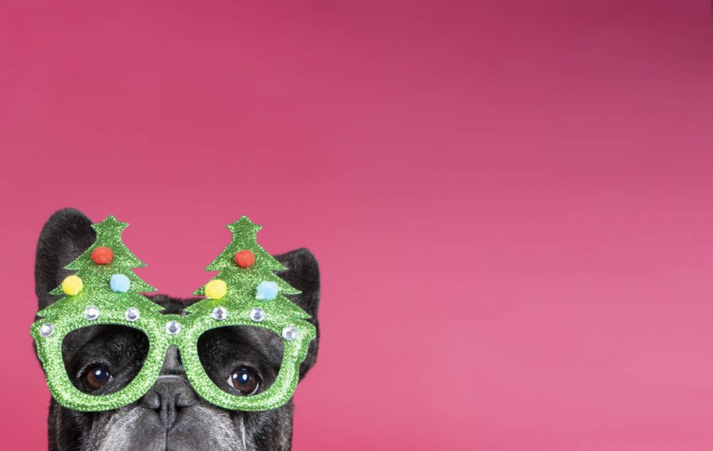 Ideas de marketing navideño para tu veterinaria Ideas de marketing navideño para tu veterinaria
