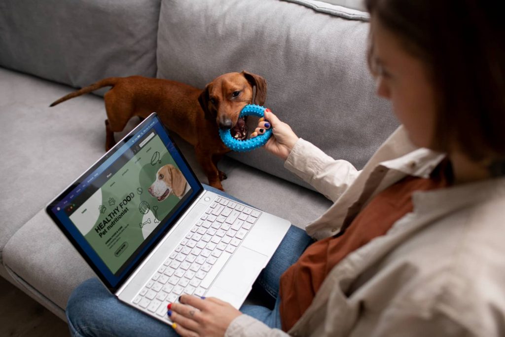 Marketing y presencia online Marketing y presencia online