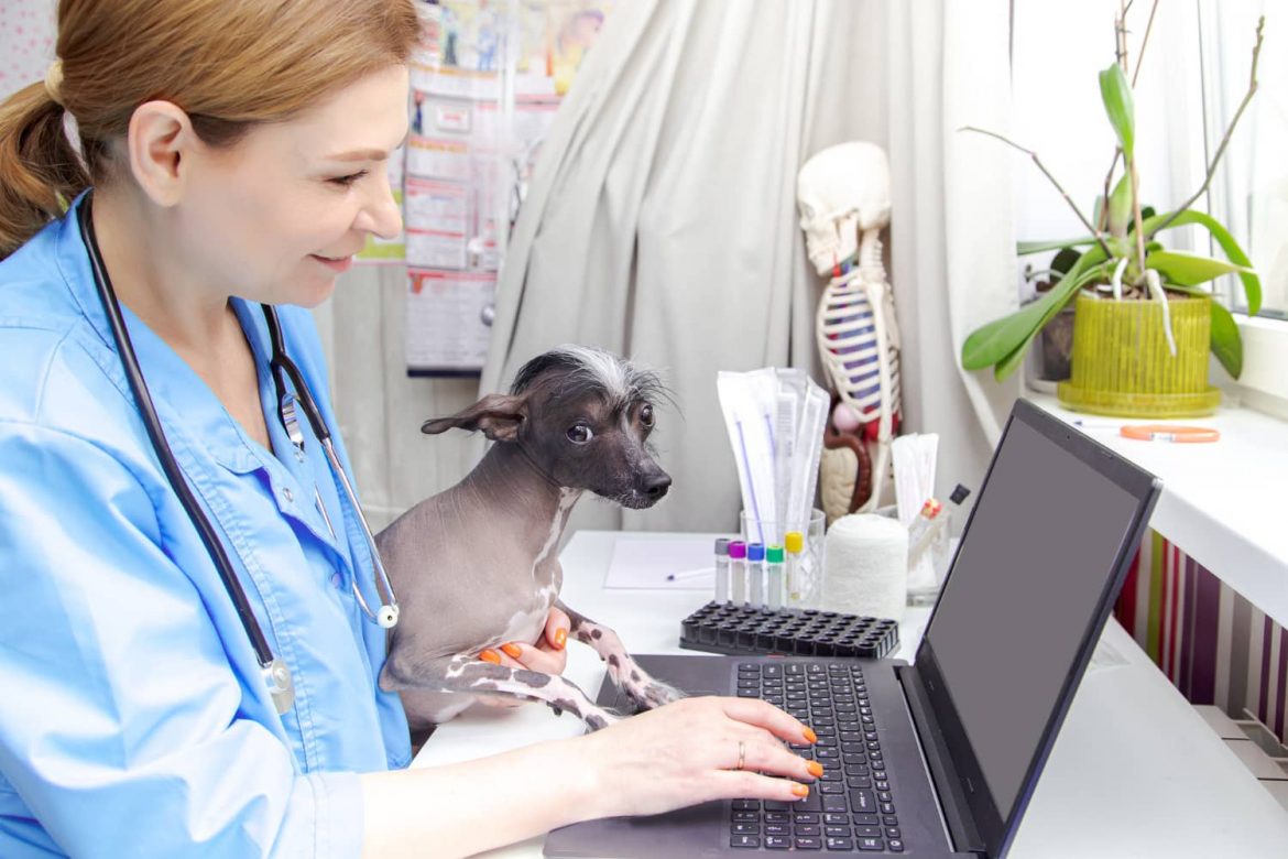 Cómo elegir el software de gestión adecuado para tu clínica veterinaria