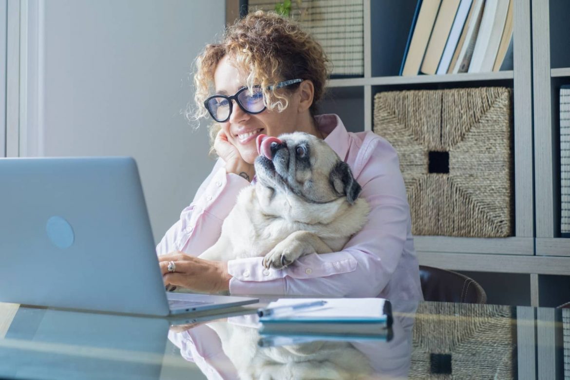 Adaptación a un nuevo software veterinario en la clínica