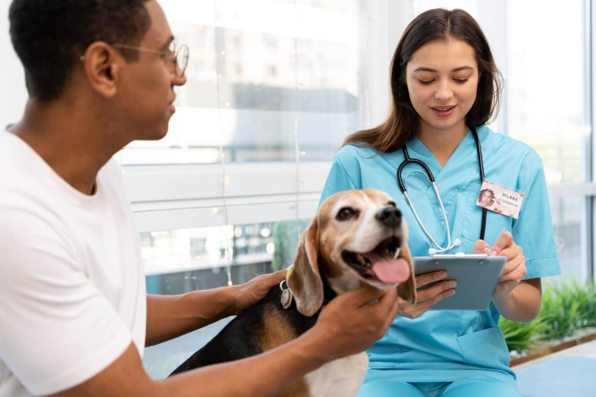 Ventajas de elegir correctamente tu software de gestión veterinario