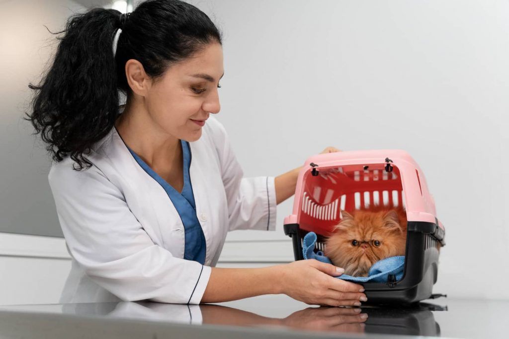 Cuándo cambiar de software veterinario
