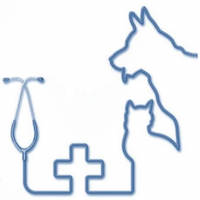 Ilustración de un veterinario con mascota y equipo médico en tonos azules.