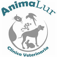 Tecnología avanzada para el bienestar de mascotas en clínicas veterinarias.