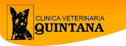 CV Quintana