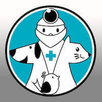 Robot veterinario con mascota, tecnología para el cuidado animal.
