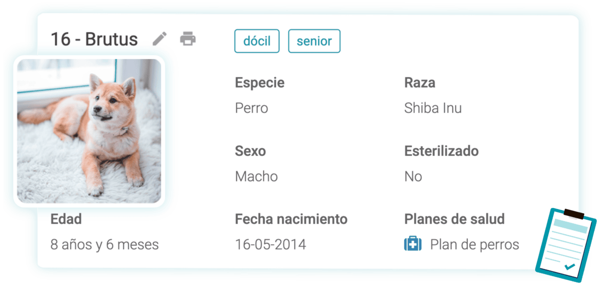 Historia clínica veterinaria en el software Wakyma Vets