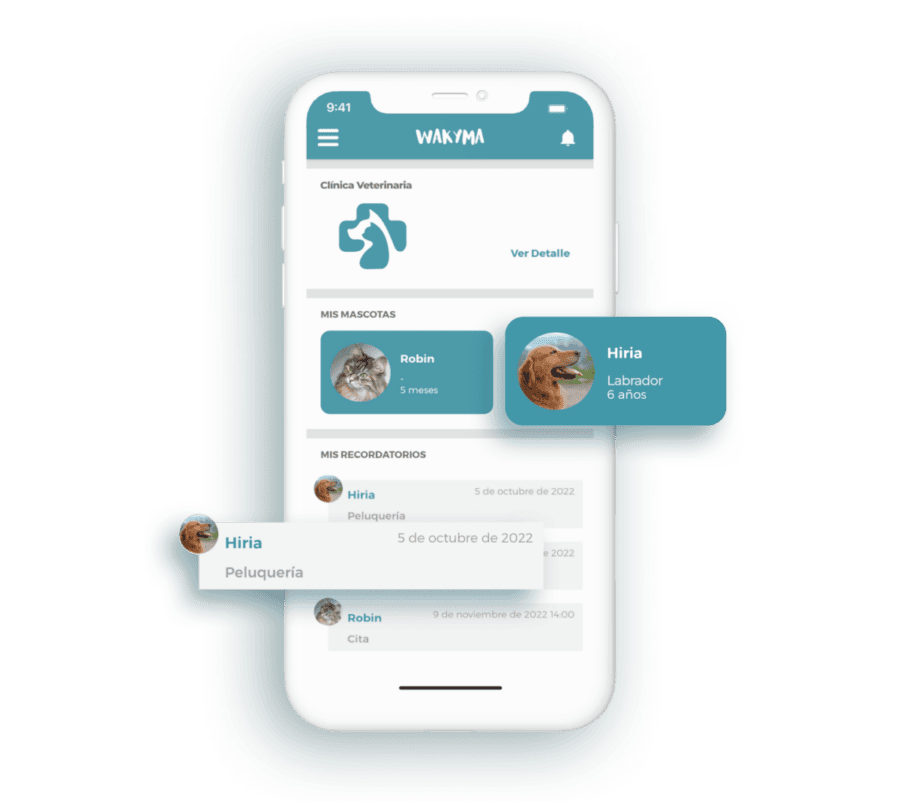 App de dueños de Wakyma