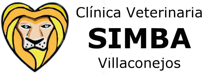 Tecnología avanzada para el cuidado de mascotas en Wakyma. Innovación y bienestar para tus animales.
